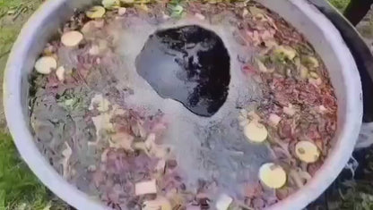 Adivasi Hakki Pikki Neelambari Herbal Hair Oil