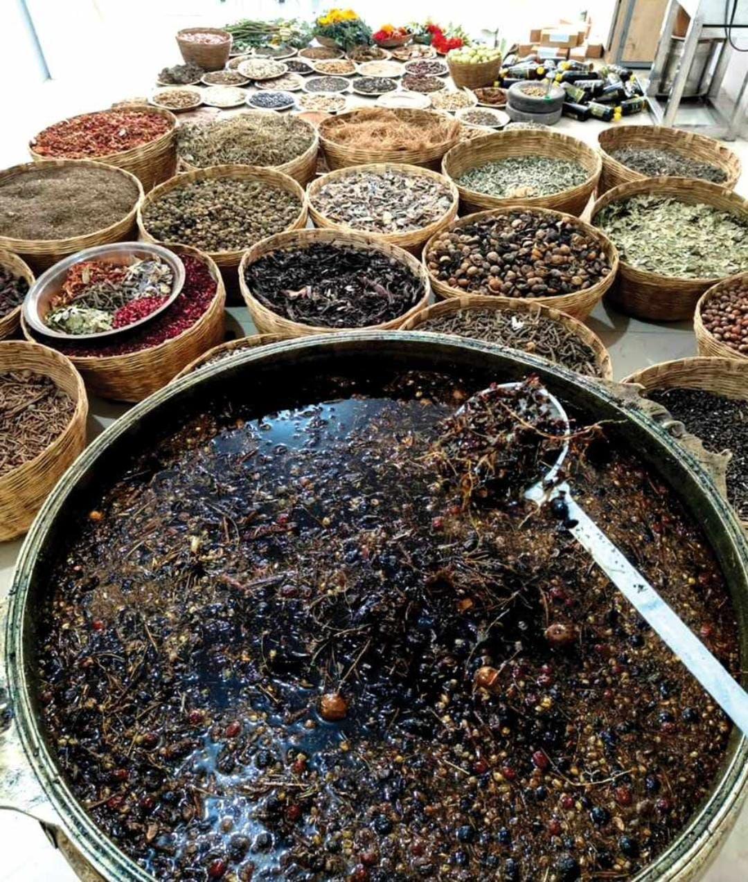 Adivasi Hakki Pikki Neelambari Herbal Hair Oil